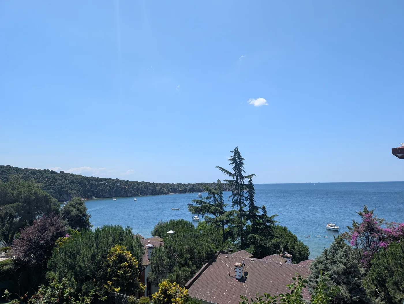 Coastal view of the Sea of Marmara from Büyükada island