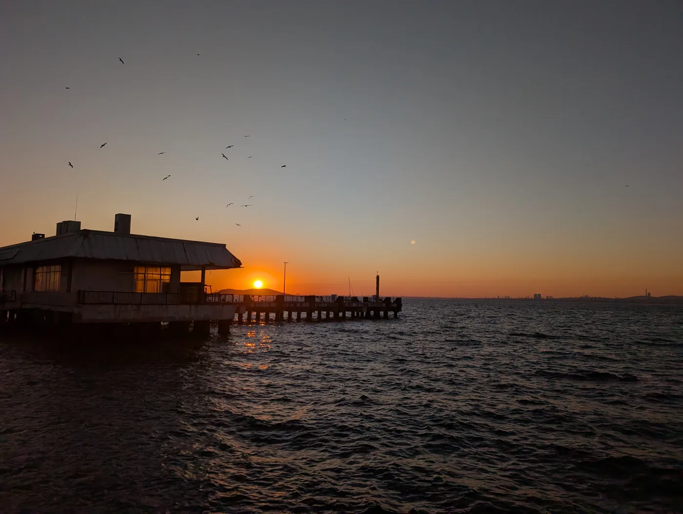 Marmara seagulls soaring above the historic passenger terminal at dusk