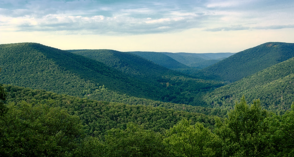 Dilburnu Nature Park pine grove trails